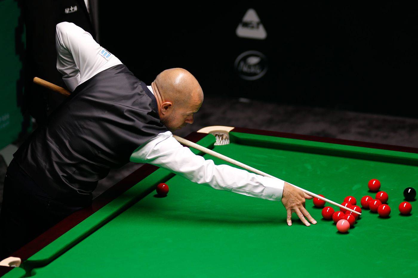 她不仅在关 她不仅在关